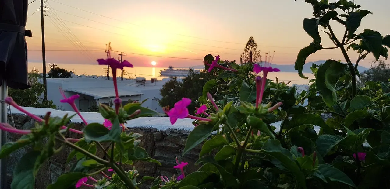 Villa Varnali Small Boutique Mykonos Town Pensión
