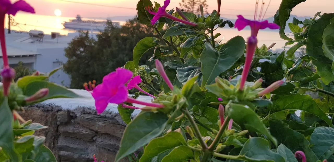 Villa Varnali Small Boutique Mykonos Town Grecia